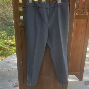 Ann Taylor Factory Petite blueish/grey Pants
